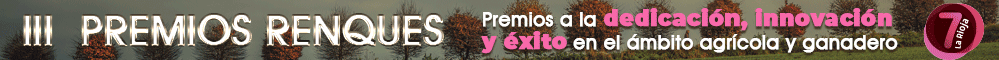 Premios DLR
