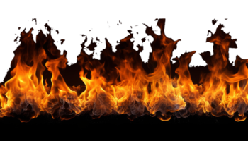 Abandonados tras el fuego