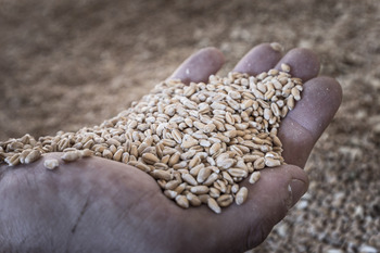 Bruselas da un importante paso para blindar a los productores