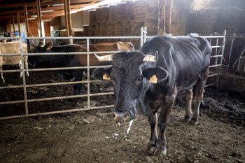 Unión de Uniones reclama que se active el 70% del anticipo