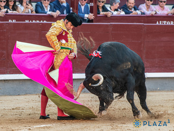 El desiderátum y un presidente para el tinte