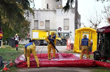 Los próximos 14 días serán clave para contener la peste porcina