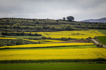 La UE traiciona su Plan Proteico