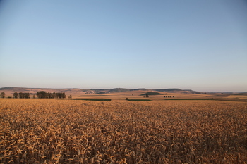 La tierra conserva su tirón