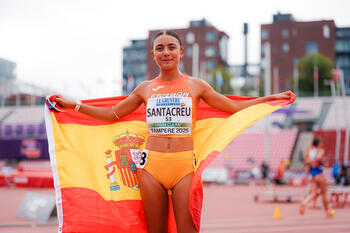 Catorce metales para la historia