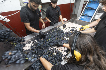 OIVE insta a no demonizar el vino