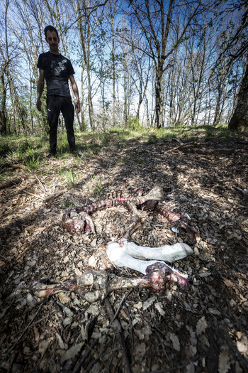 COAG denuncia que el MITECO ignora mil lobos flotantes