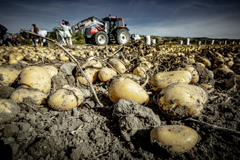 Media Europa se alía para avanzar con los pesticidas
