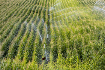 El reto pendiente está en aumentar la producción