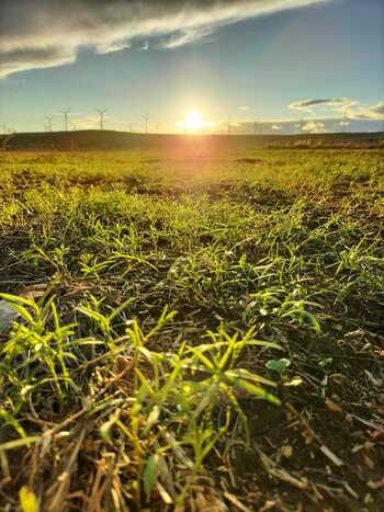 La degradación de los suelos agrícolas es la nueva amenaza