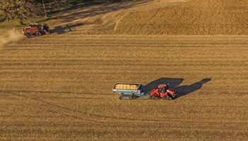 El sector no necesita una guerra