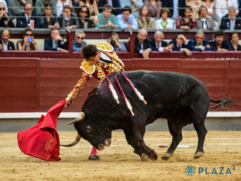 De la dormidera, al triunfo