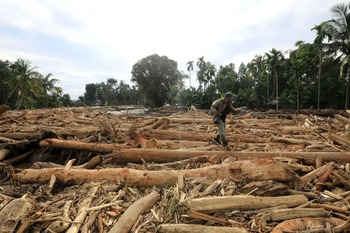 Suben a 700 los muertos por inundaciones en Indonesia