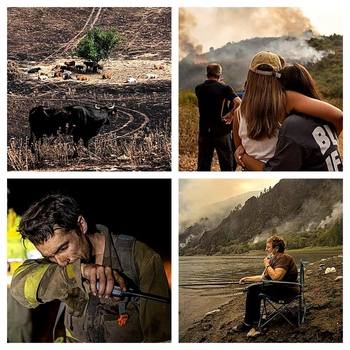 El verano que España ardió