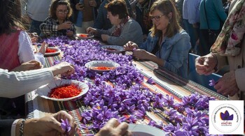 El frío se afronta con Campo y Alma