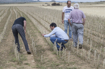 Los siniestros en  el campo se agravan