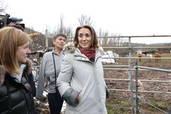 Gamarra traslada la subida del gasto en defensa al Congreso