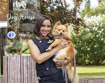 ‘Dog House’ pone en valor la conexión entre humano y animal