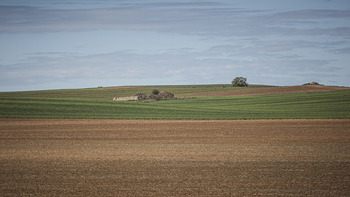 Riesgos y retos del suelo agrícola