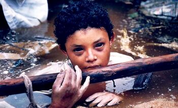 El milagro que no pudo ser