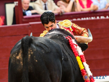 Siento no poder emular a Don Modesto