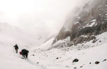 Tras las huellas de la Humanidad