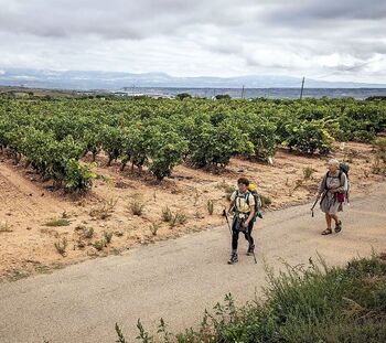 Una tierra que entra por los ojos