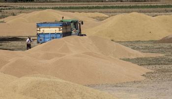 Toca subir la cuesta de otoño