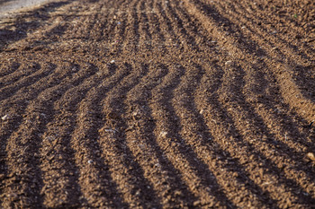 Riesgos y amenazas para la actividad agraria