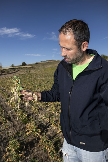 Urge un impulso al relevo generacional