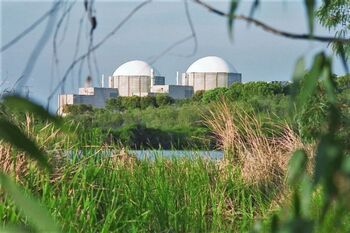 Endesa e Iberdrola quieren aumentar la vida útil de las nucleares
