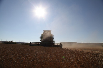 Recomendaciones de UPA para la nueva campaña de cereales