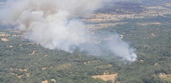 El fuego de Navaluenga mantiene un perímetro de 26 kilómetros