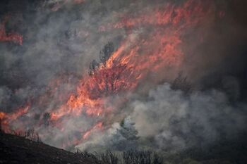 Suben a 37 los detenidos por los incendios en España