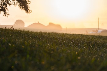 BBVA lanza los Premios a los Mejores Productores Sostenibles