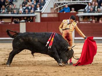 Milagro, misterio y solemnidad