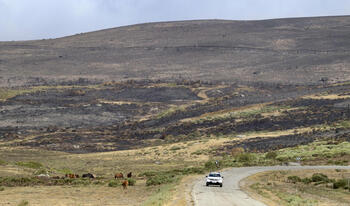Protección Civil da por finalizada la oleada de incendios