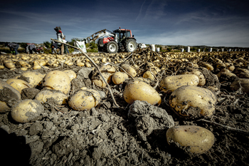 El TJUE revisa el veto al mancozeb