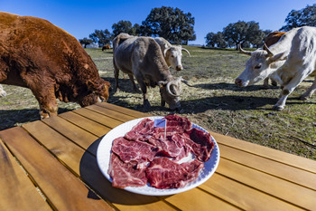 Unión de Uniones reprocha a Planas su prisa con Mercosur