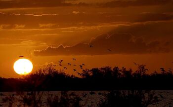 La inmensidad de Doñana