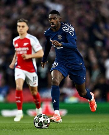 El año del ‘mosquito’