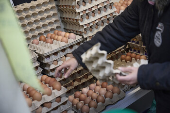 Los huevos, el café y la carne de vacuno disparan sus precios
