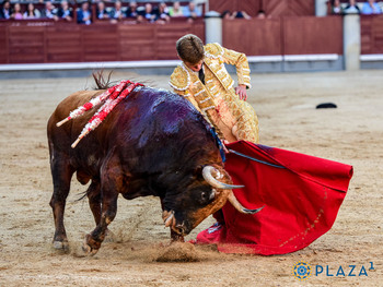 El “presi” dijo, otra vez, no