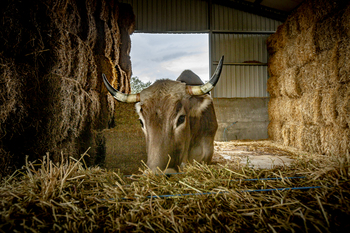 Unión de Uniones pide hechos frente a la tuberculosis