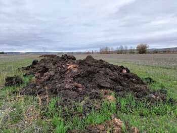 El Real Decreto de nutrición despierta reacciones diversas