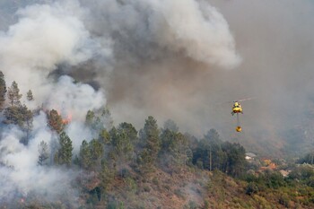 BBVA apoya a los afectados por los incendios en España
