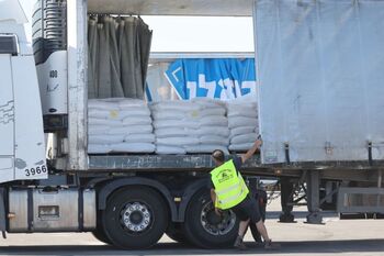Saquean más de 70 camiones de alimentos en el sur de Gaza