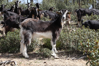 Publicada la orden de módulos con deducciones en el IRPF