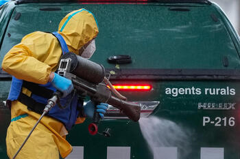 La Generalitat afirma que la peste porcina está contenida