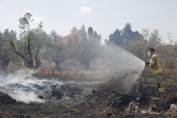 18 detenidos por los incendios forestales de Jerusalén